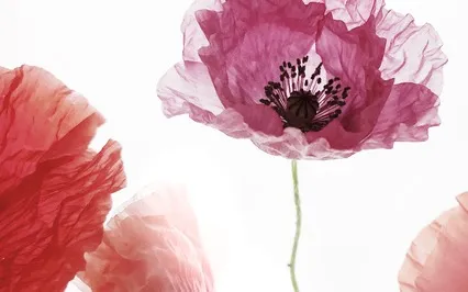 Exercise / Day 6: My Beautiful Body Energy Clearing