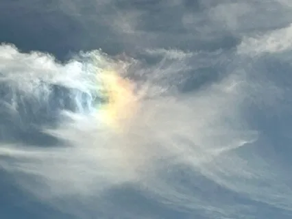 Exercising Attention To Know Ourselves Without Judgement