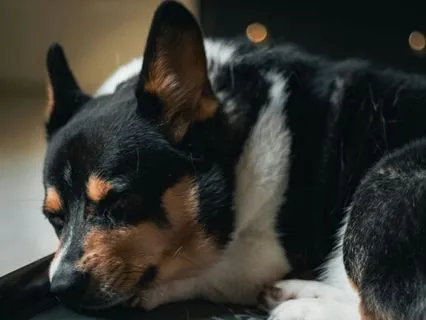 Exhale Into Sleep - Take A Five Series