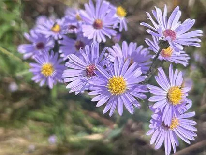 Exhausted From Others' Opinions