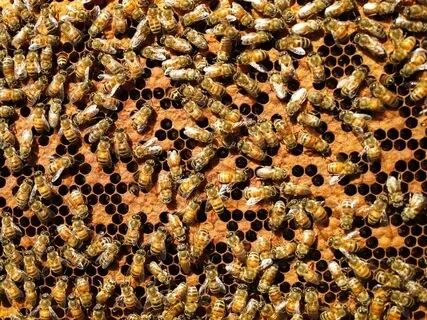 Exhaustion - "Meditations For People Who Do Too Much"