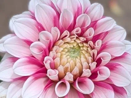 Expand | Mindful Motivation