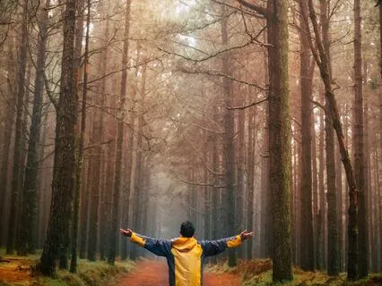 Expand With Gemini's New Moon