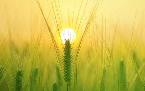 Expand Your Consciousness & Activate Inner Insight