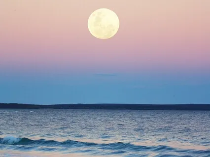 Expand Your Love Bubble - Universal Loving Kindness Meditation