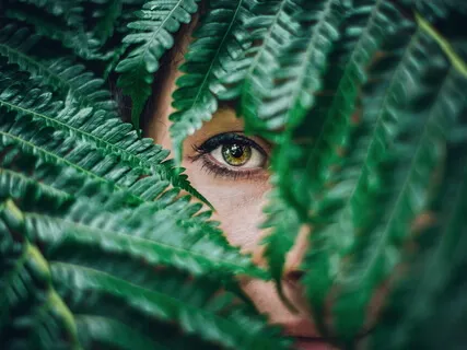 Expand Your Senses With Plant Music Track 1 - Vision