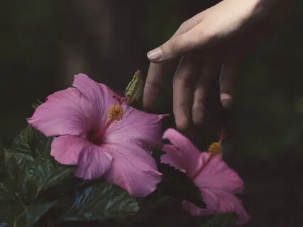 Expand Your Senses With Plant Music Track 2 - Touch