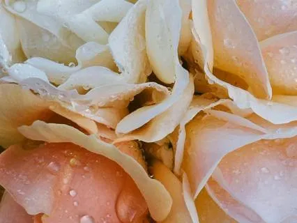 Expand Your Window Of Tolerance Practice