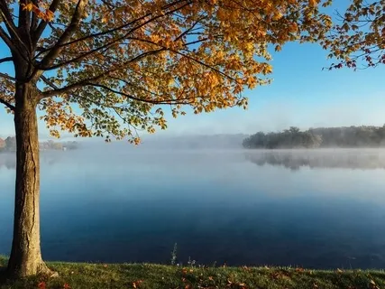 Expanded Awareness Meditation 