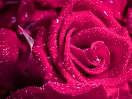 Expanded Awareness: Unlocking Your Higher Mind