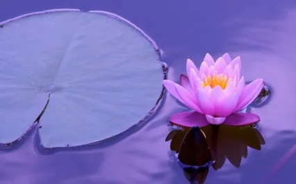 Expanded Consciousness Meditation