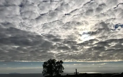 Expanded Perspective