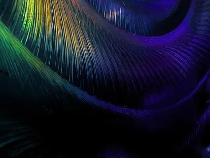 Expanding Awareness Meditation (12 Links Practice)