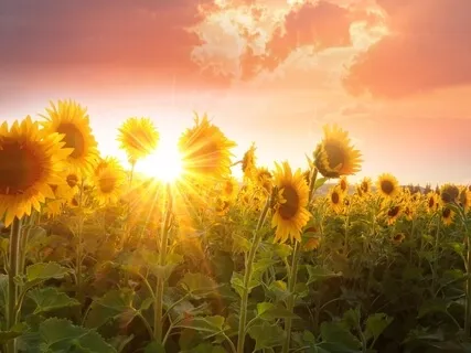 Expanding Beyond Challenge Talk & Meditation 