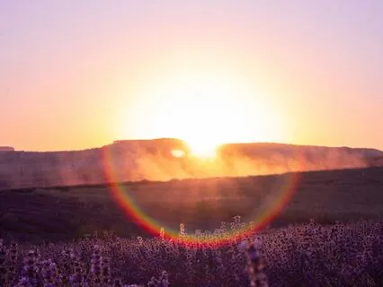 Expanding Beyond The Human You - Profound Source Connection