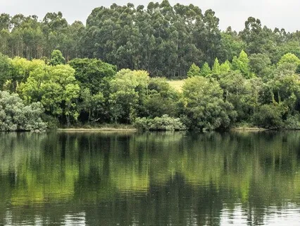 Expanding Consciousness