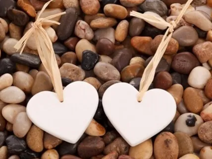 Expanding Heart (Mini Version)