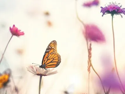 Expanding Into Divinity