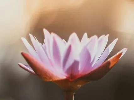 Expanding Into God (Serenity)