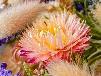 Expanding Into Gratitude