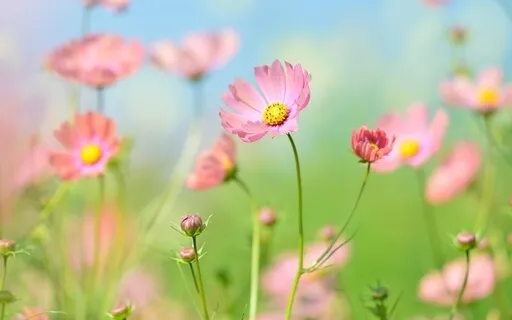 Expanding Into The Cosmos Guided Meditation