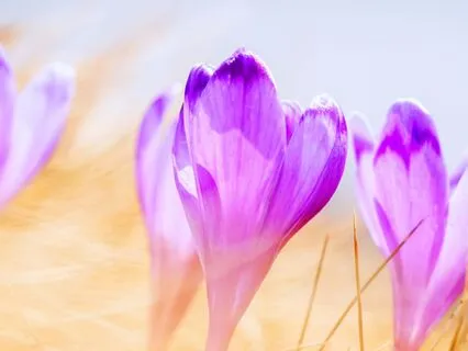 Expanding Into Your Light Frequency Healing 1