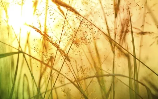 Expanding The Sacred Masculine