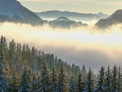 Expanding Through The Anchors: Breath, Body, & Sound