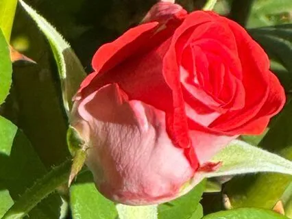 Expanding Unlimited Awareness