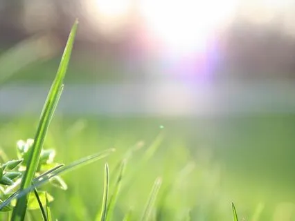 Expanding Your Awareness Of The Energy Flow