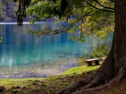 Expanding Your Awareness Of The Present - Meditation 18