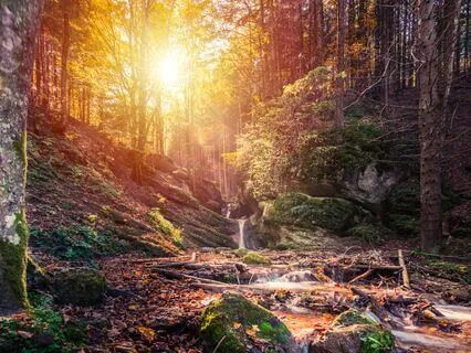 Expansion & Contraction: Cosmic Flow: Soul Journey