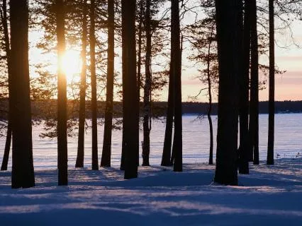 Expansion Everywhere: Experiencing Universal Consciousness