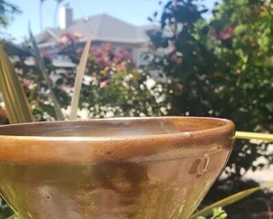 Expansion Meditation