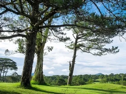 Expansion Meditation