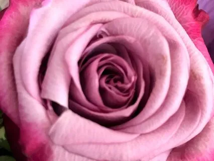 Expansion Meditation