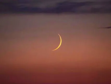 Expansion & New Beginnings No Music