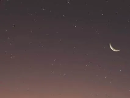 Expansion & New Beginnings