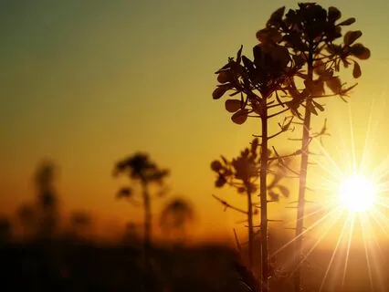 Expansions Message: Become The Alchemist Of Your Life