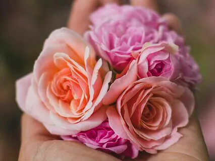 Expansions Message: Heart Connection