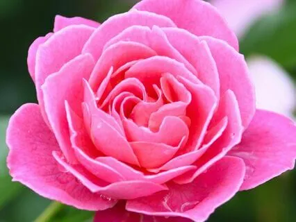 Expansions Message: Overcoming Perfectionism