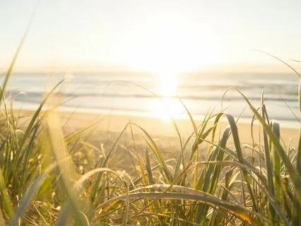 Expansions Message: Soften Into Life