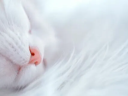 Expansive Horizons - Sedative & Pain Relief Frequency