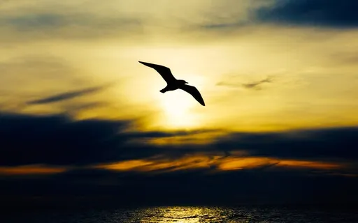 Expansive Love: Guided Visualization