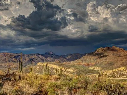 Expansive Mind And Good Will Meditation