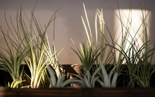 Expectation Management 