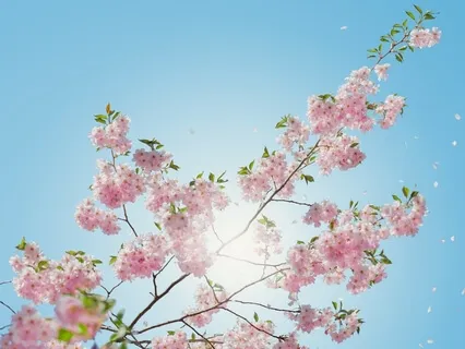 Expectations - The Hurdles To Freedom Of The Mind