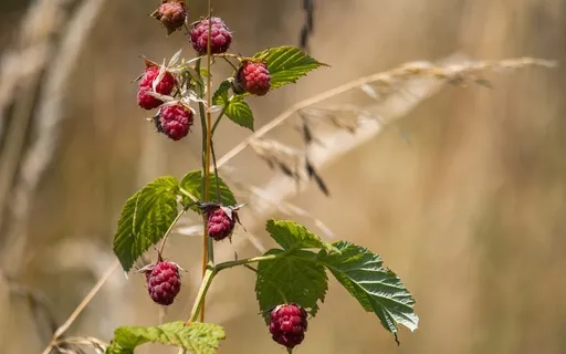 Expecting Your Needs To Be Met