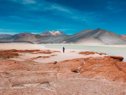 Experience Christ In The Desert