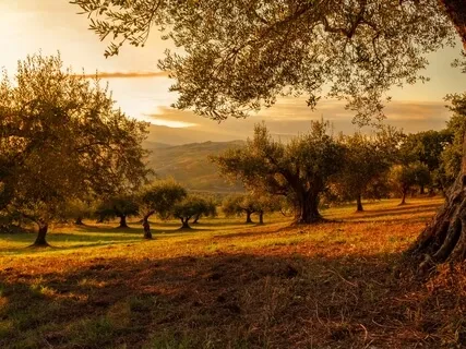 Experience Confidence